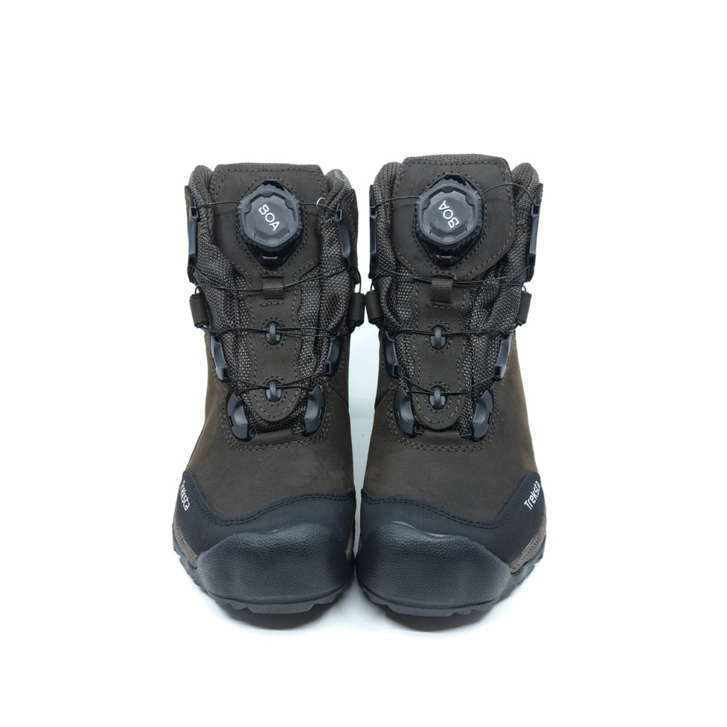 Lynx BOA - 6" GTX - Treksta
