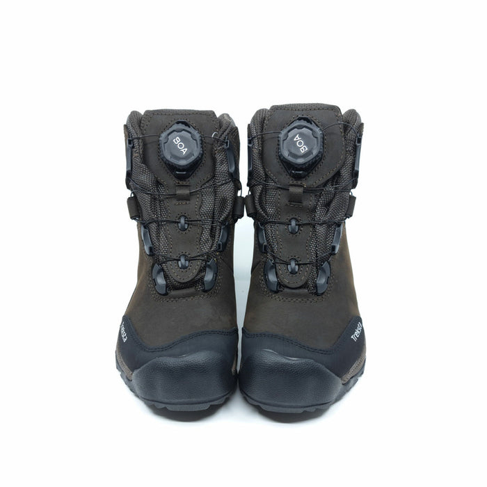 Lynx BOA - 6" GTX - Treksta