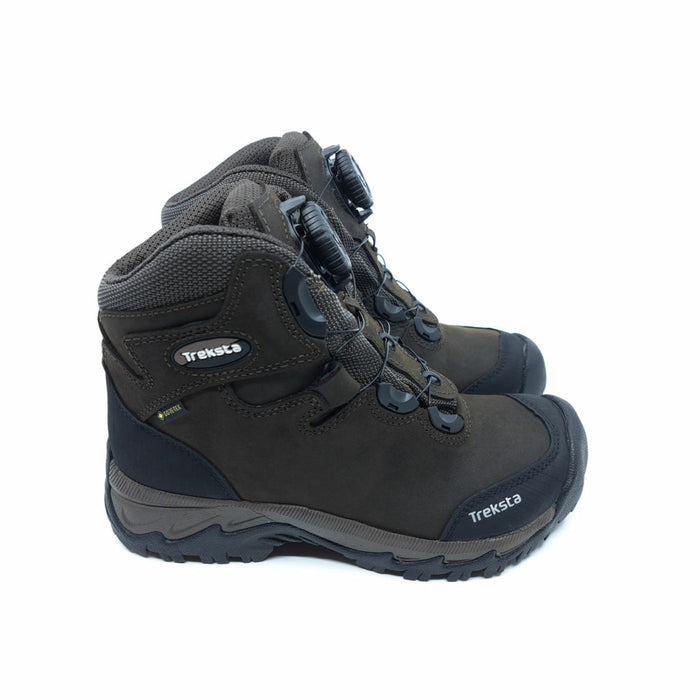 Lynx BOA - 6" GTX - Treksta