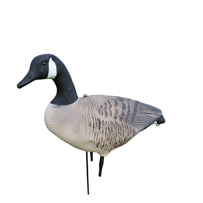 Ganzkörper Kanadagänse 12 Stück - HuntElite