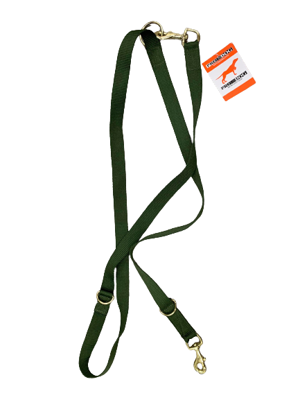 Hundeleine/Dressurleine mit Karabinerhaken - Grün