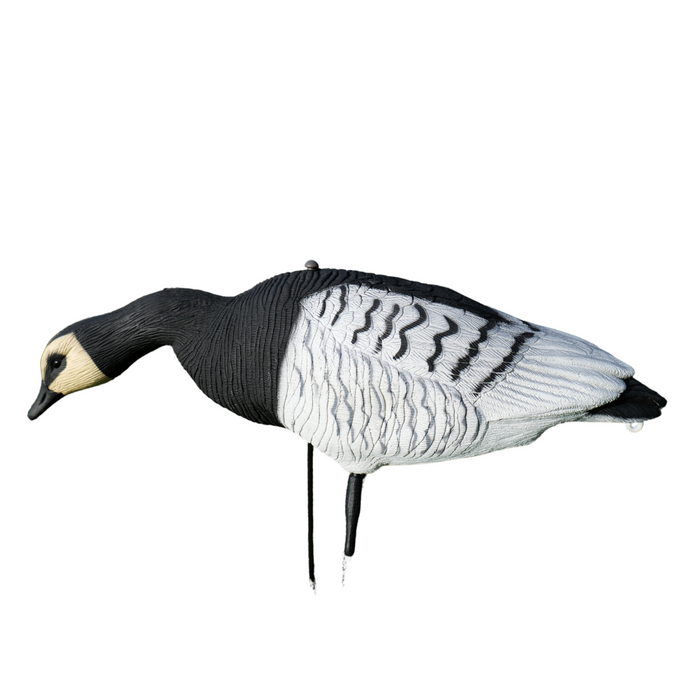 Ganzkörper - Ringelgans - 12 Stück - HuntElite