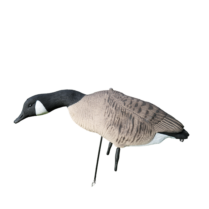 Ganzkörper Kanadagänse 12 Stück - HuntElite