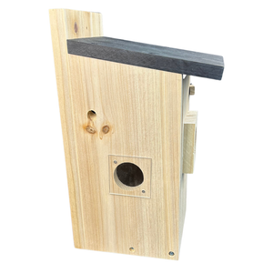 Vogelhaus mit Kamera – HuntElite