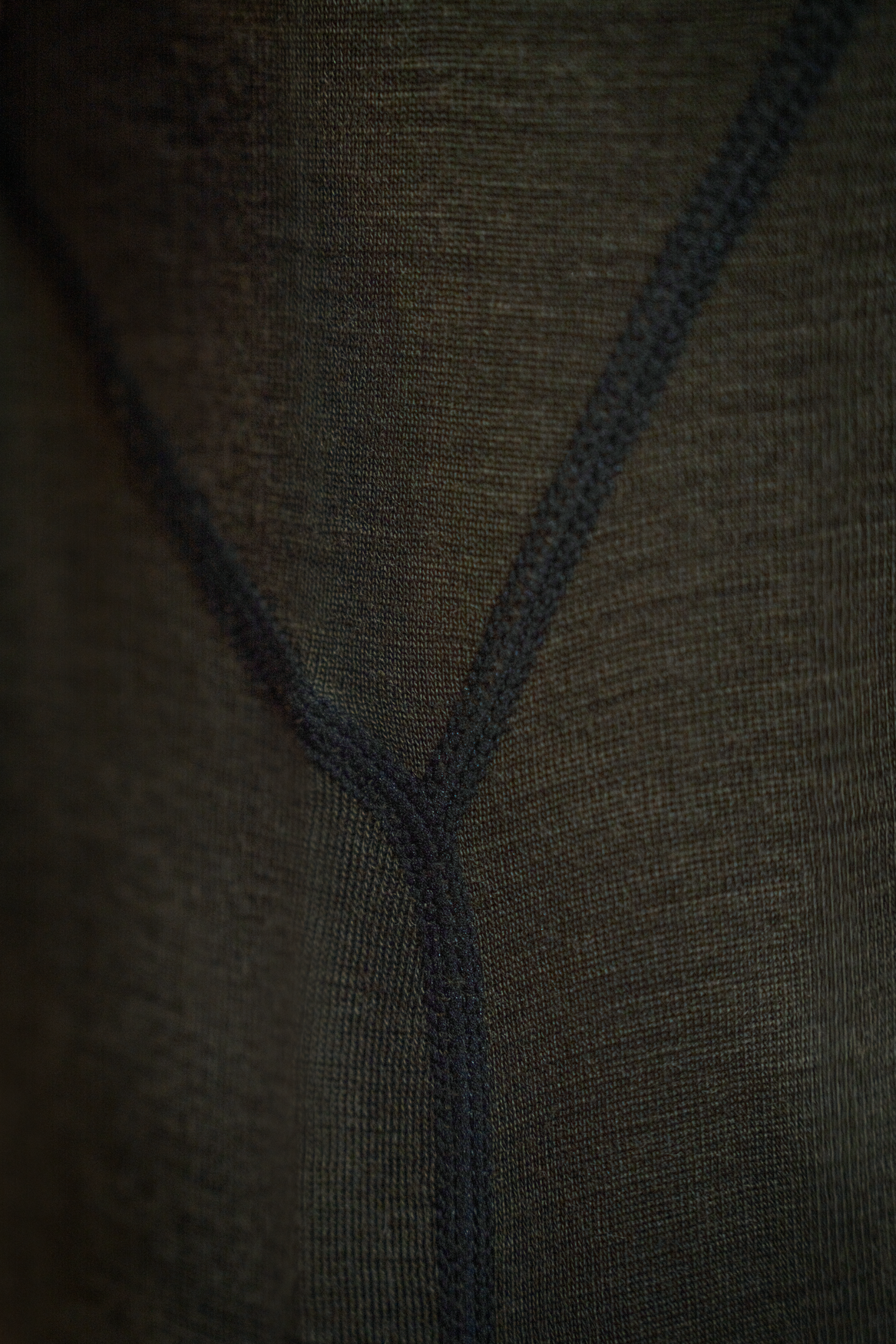 One Hundred Langarmshirt – Pine green – Seeland