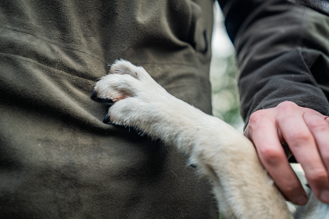 BGH Smock Pine green – Seeland