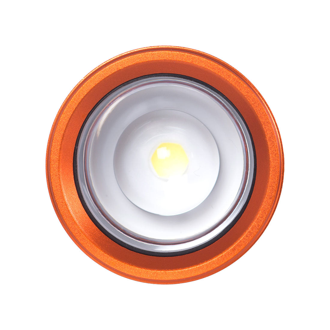 Intensity 545 Wiederaufladbare Taschenlampe – Life Systems