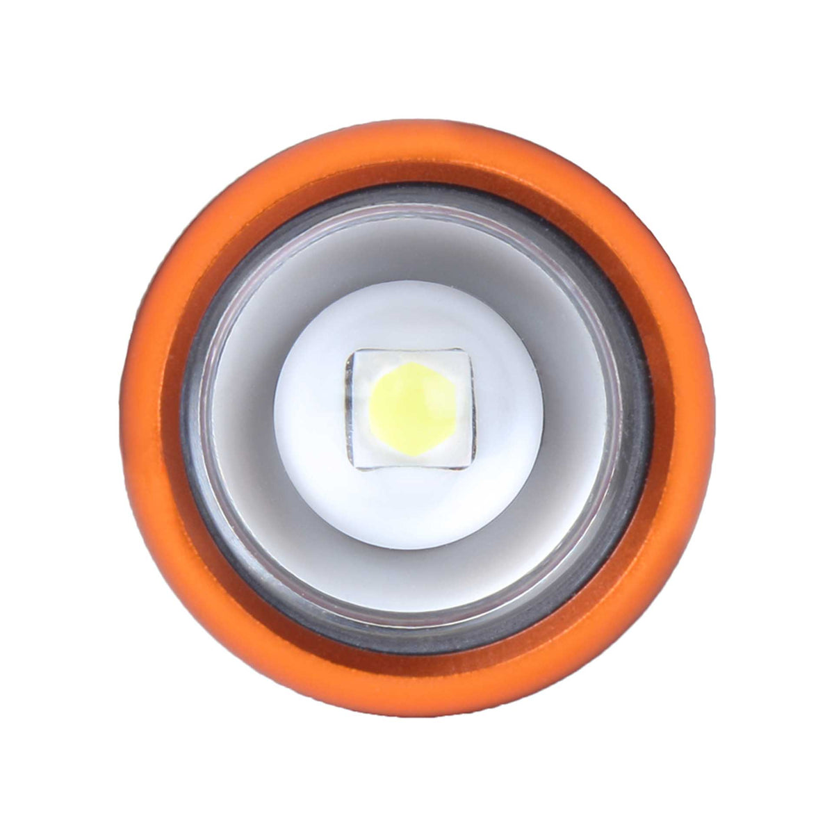 Intensity 480 Taschenlampe mit Batterie – Life Systems