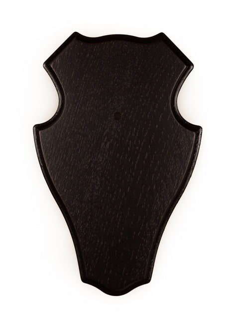 Trophäenschild, Bock, Eichenschild Dunkel 19x12