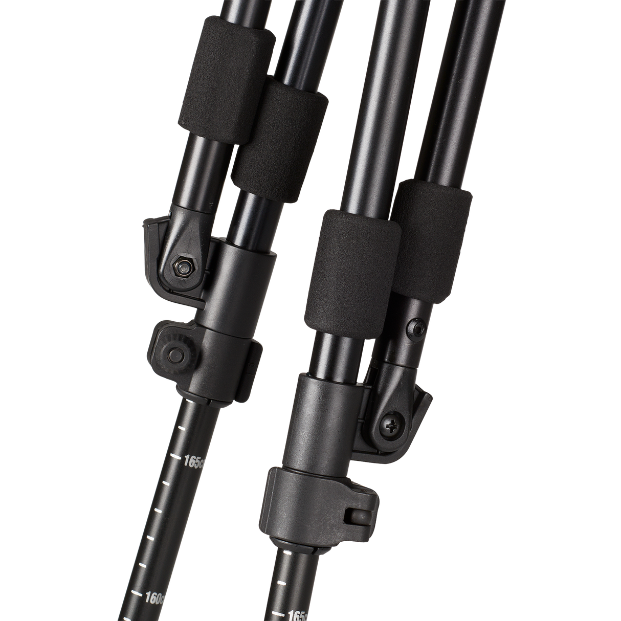 Schießstock Schwarz - Seeland