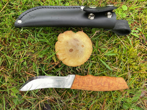 Skinner Masur – Brusletto