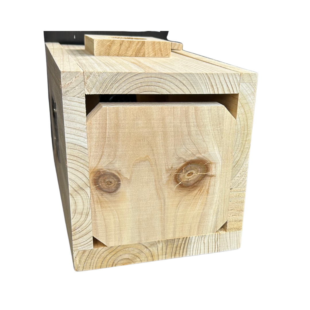 Vogelhaus mit Kamera – HuntElite
