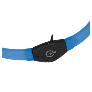Halsband Maxi Safe LED – Blau – Kerbl
