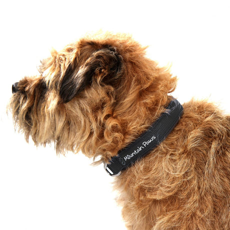 Hundehalsband X-Large Schwarz – Mountain Paws