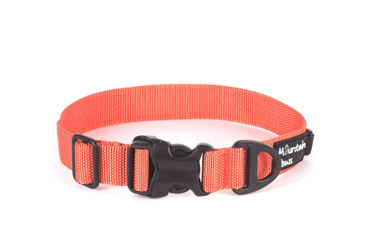 Extra Tough Dog Collar, Medium, Orange - Mountain Paws