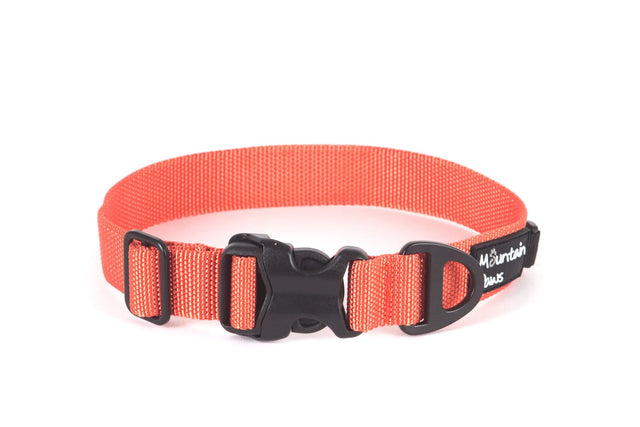Extra Tough Dog Collar, Medium, Orange - Mountain Paws