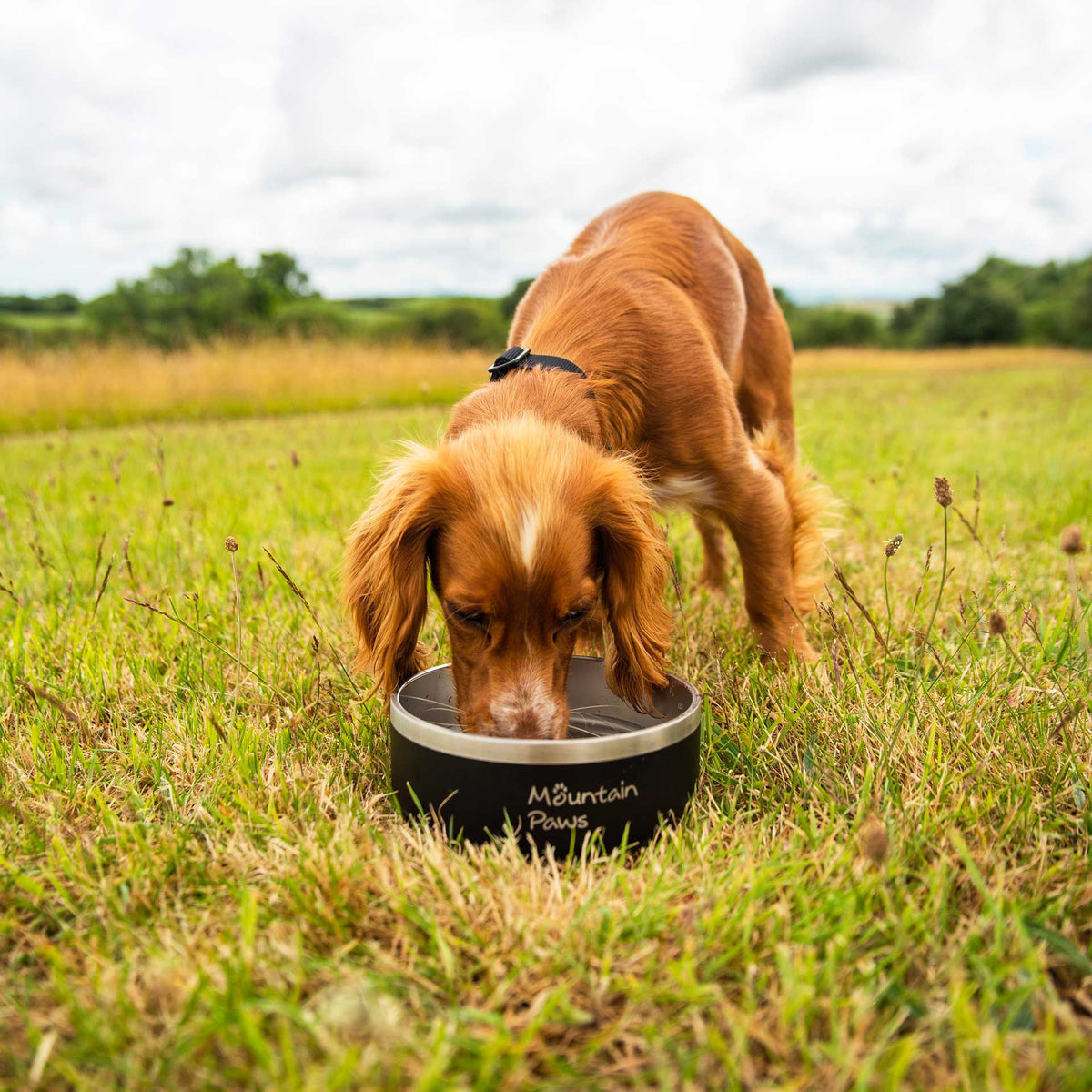 Basecamp Hundenapf – Mountain Paws