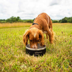 Basecamp Hundenapf – Mountain Paws