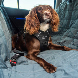 Extra robuster Hundesitzbezug fürs Auto – Mountain Paws