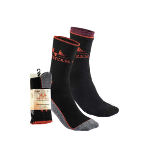 Function 2er-Pack Socken Schwarz - Swedteam