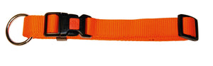 Verstellbares Halsband aus Nylon – 10mm 20–35cm – Kerbl