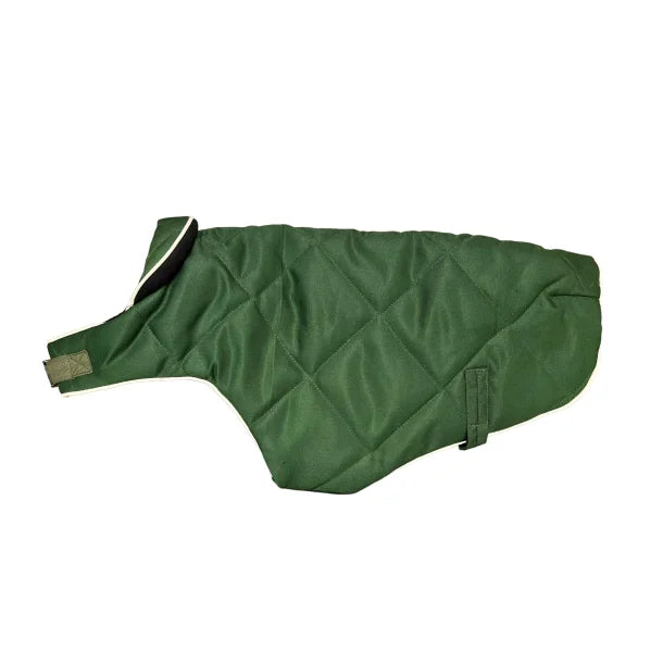 Hundejacke, grün - PROF DOG