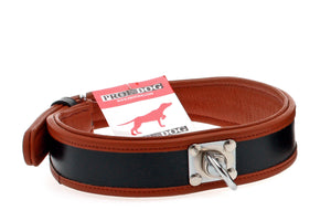Schweißhalsband - PROF DOG