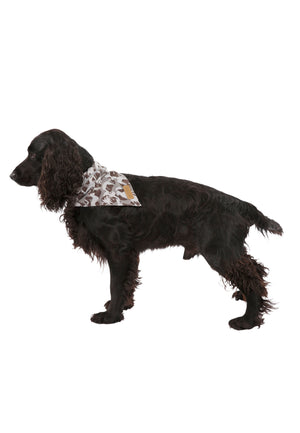 Alpha - Grey Dog Camo - Trespass