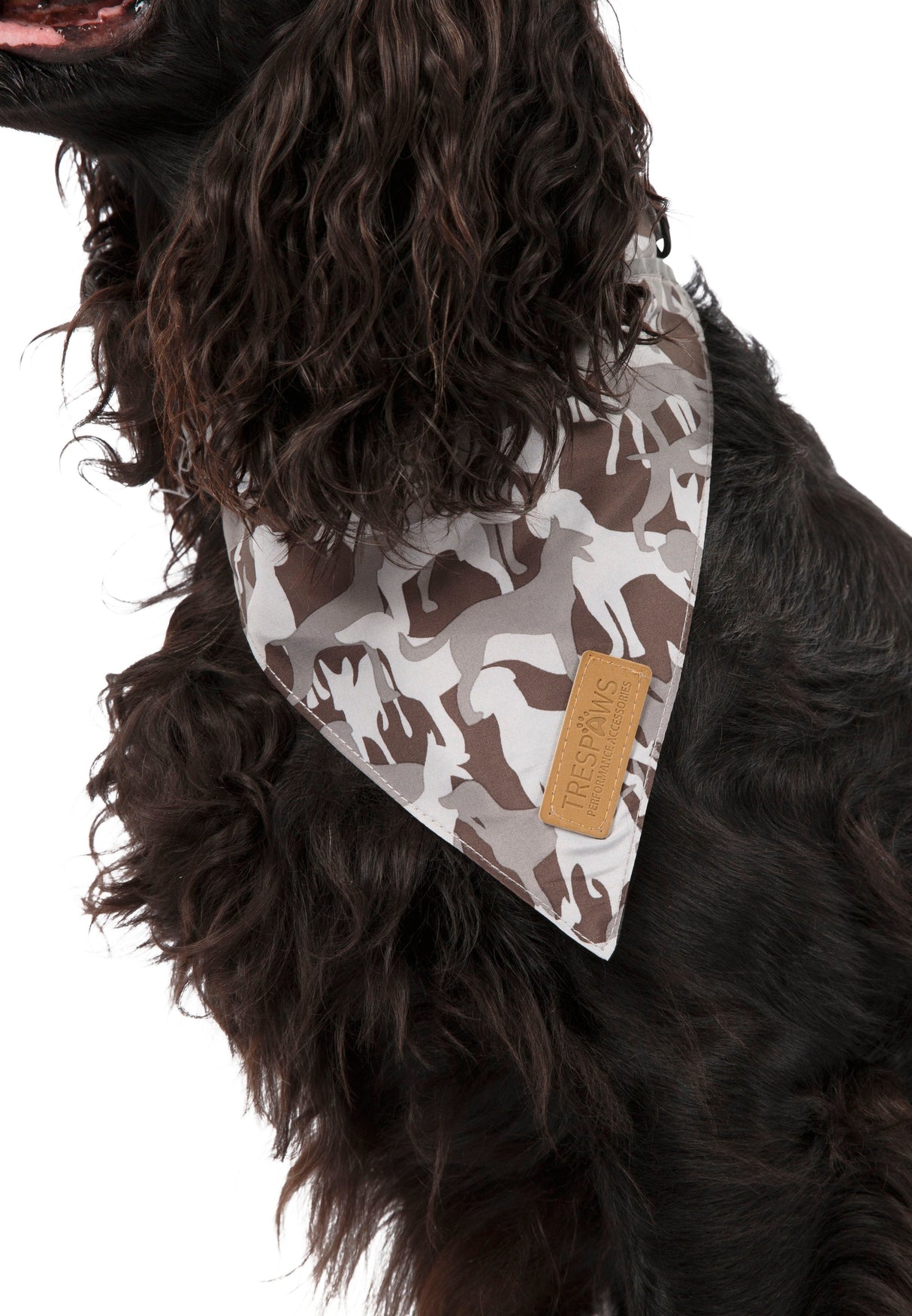 Alpha - Grey Dog Camo - Trespass