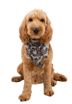 Alpha - Grey Dog Camo - Trespass