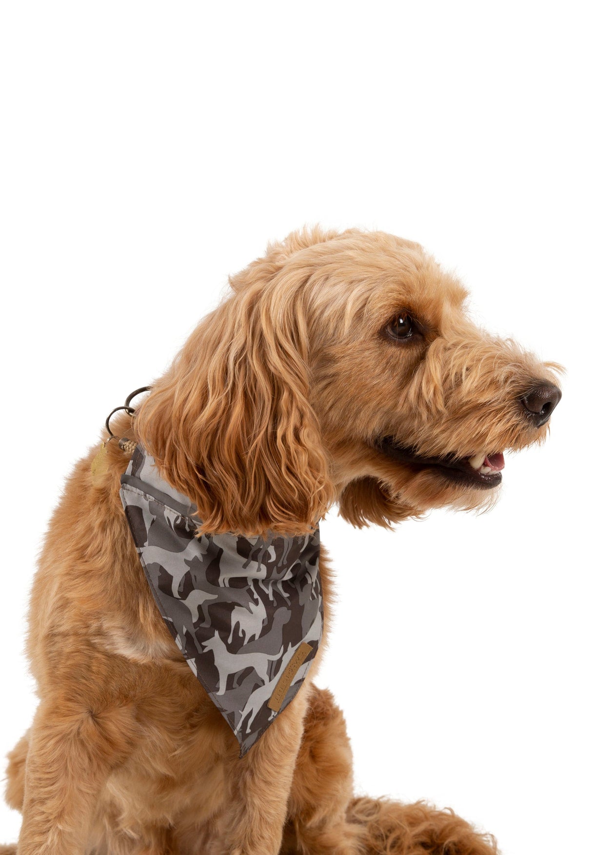 Alpha - Grey Dog Camo - Trespass