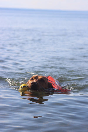 Life Jacket M
