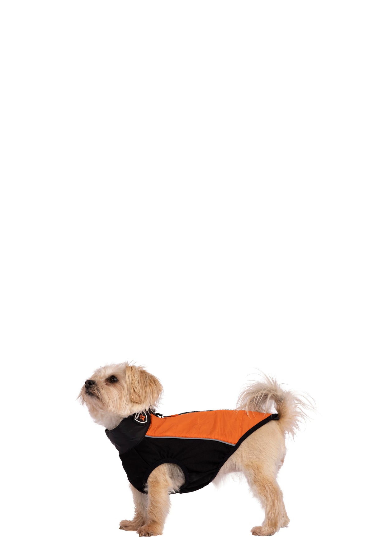 Beedle - Black/ Burnt Orange - Trespass