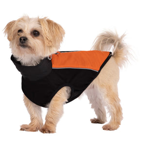 Beedle - Black/ Burnt Orange - Trespass