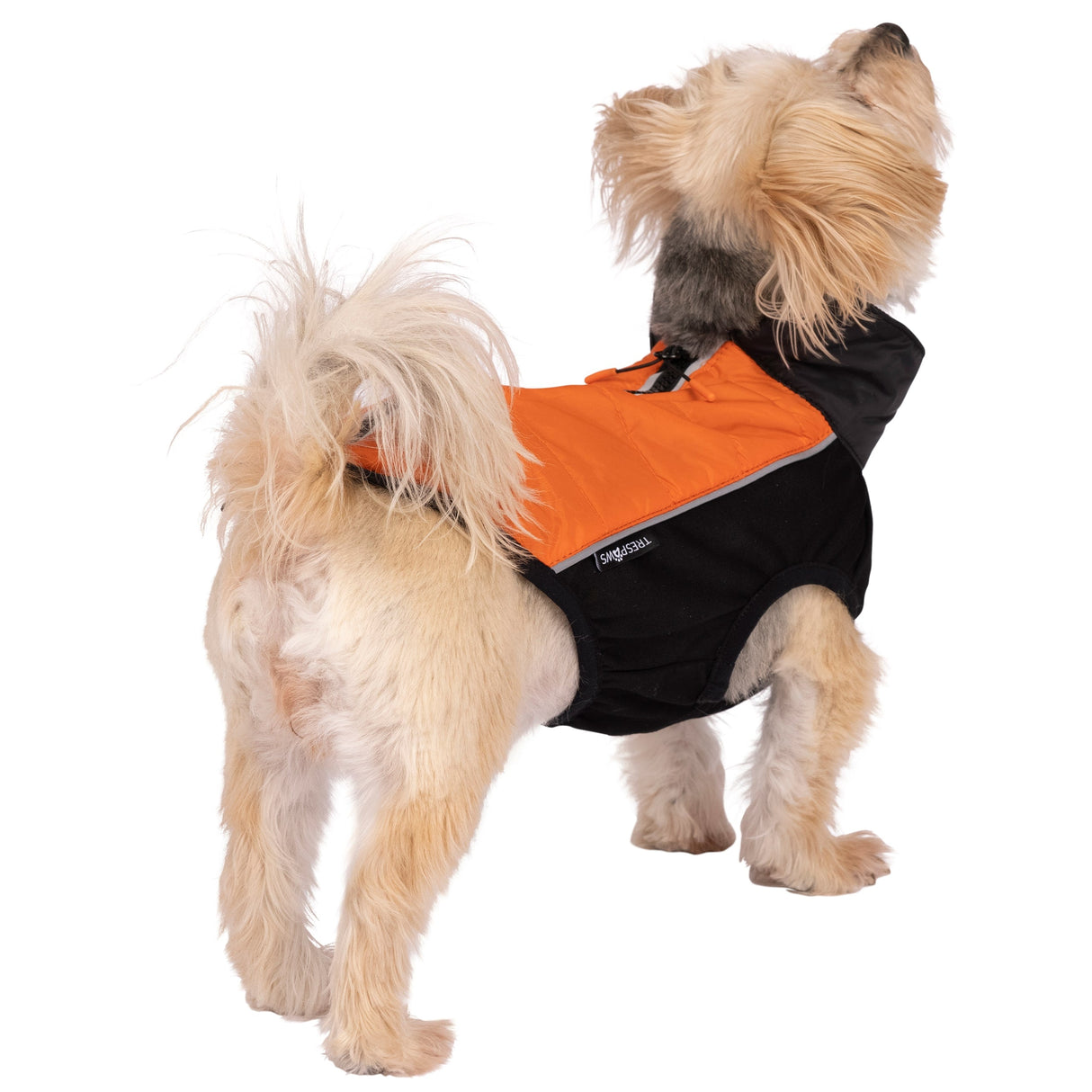 Beedle - Black/ Burnt Orange - Trespass