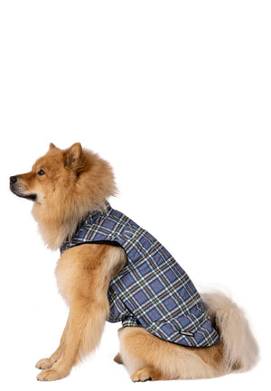 Charly - Tartan Print - Trespass