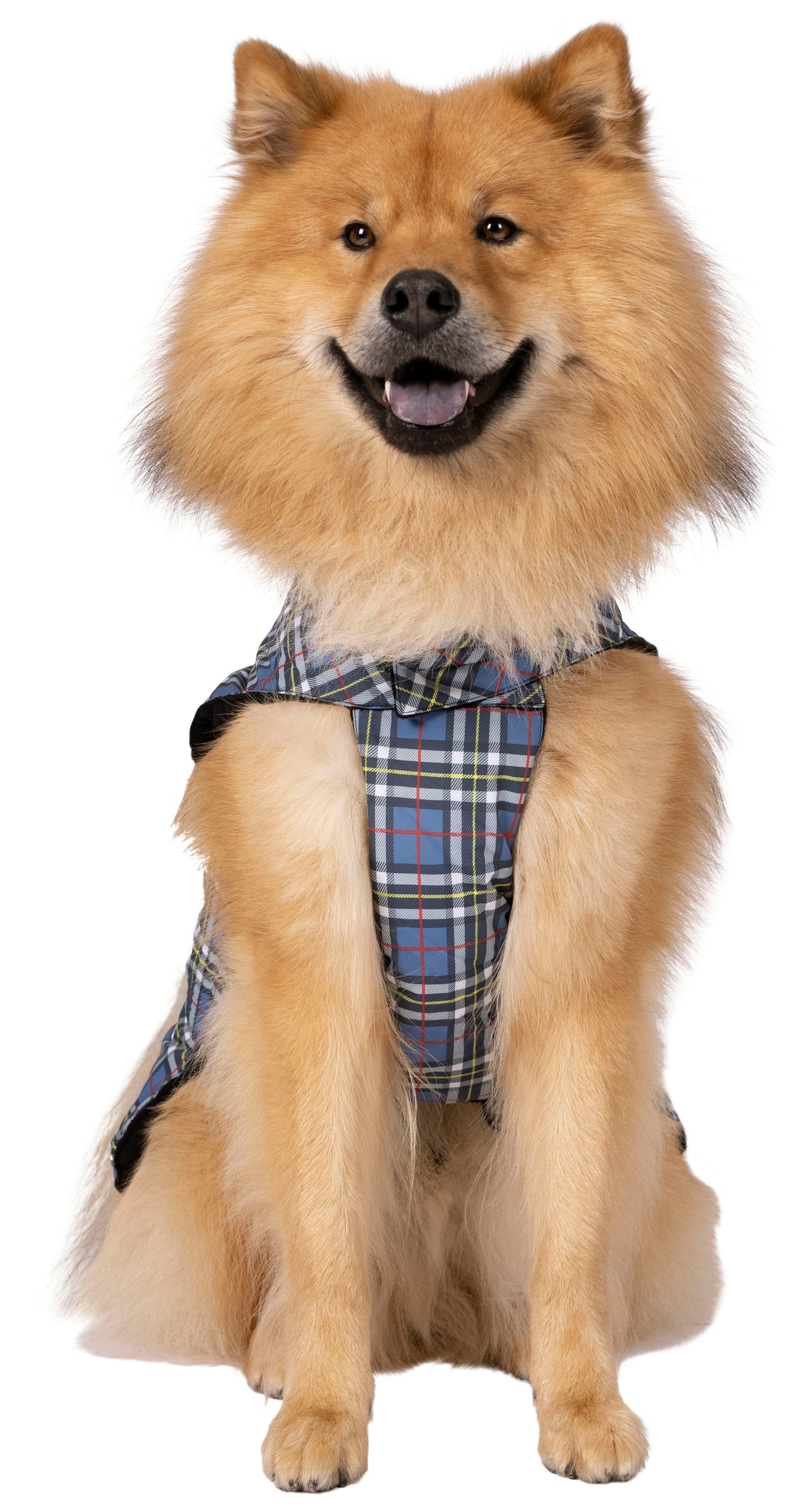 Charly - Tartan Print - Trespass