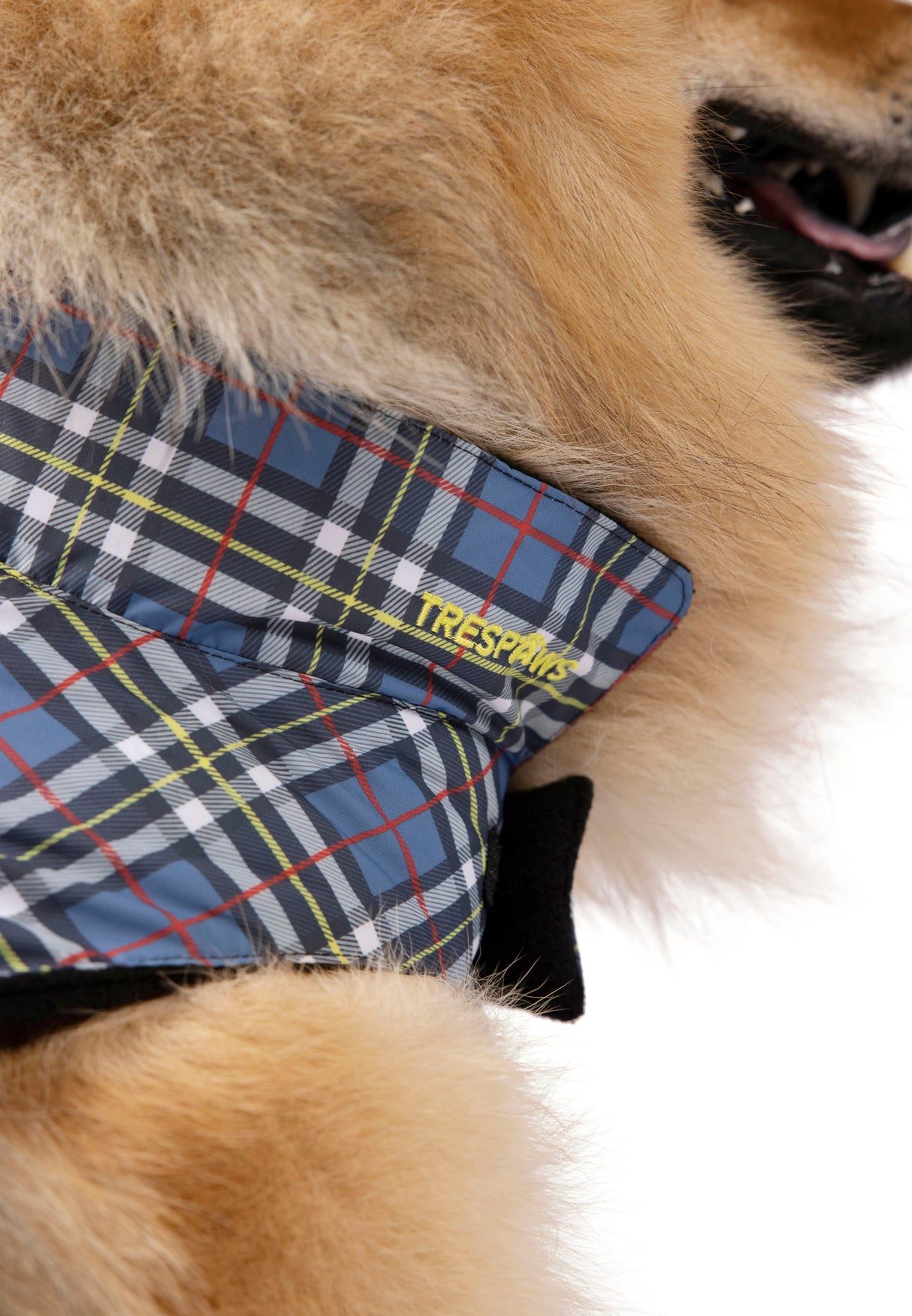 Charly - Tartan Print - Trespass