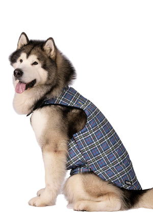 Charly - Tartan Print - Trespass