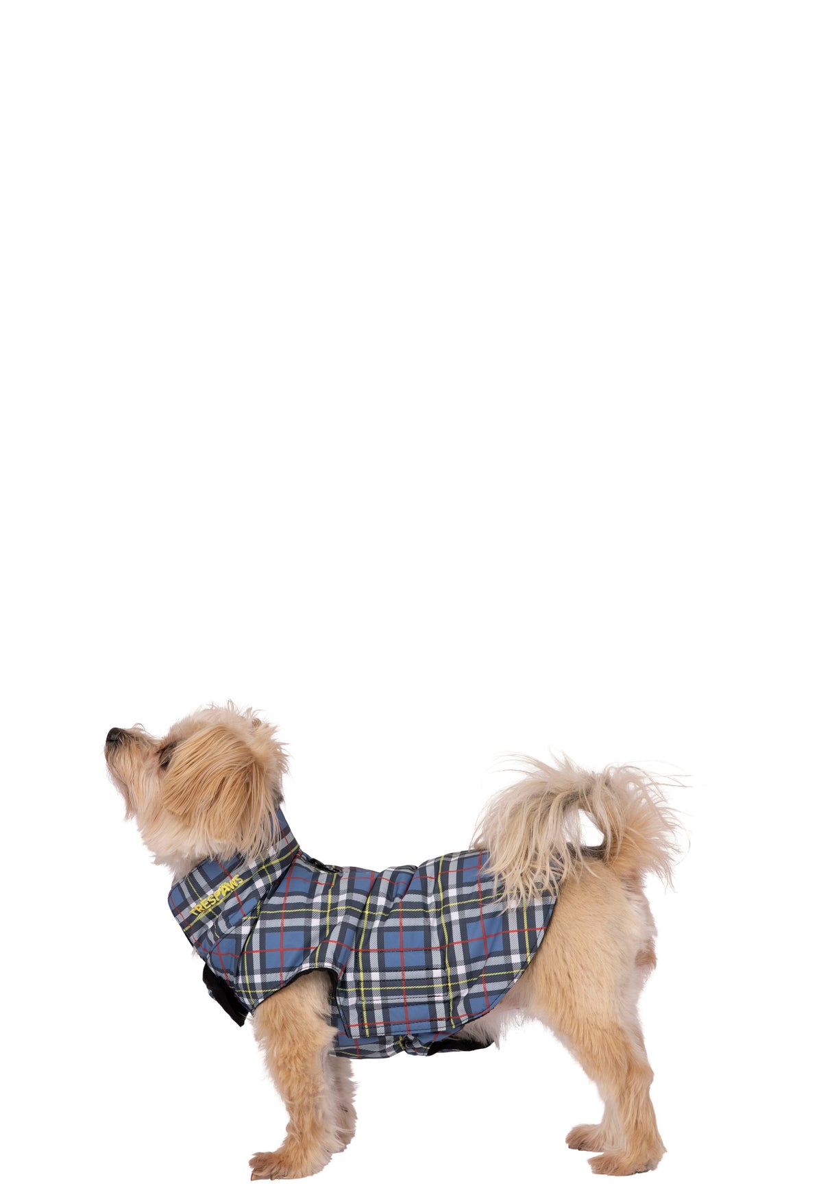 Charly - Tartan Print - Trespass