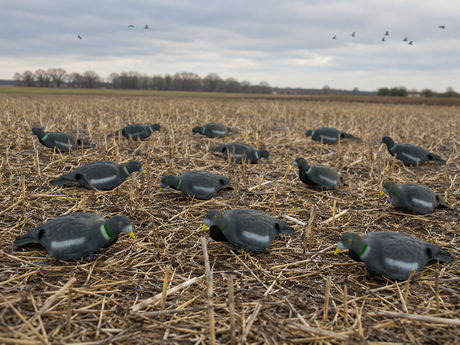 Lockvögel Halbschale mit Flock – 10 Stk – HuntElite