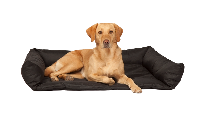 Boot Bed by Danish Design 80 x 60 x 17cm