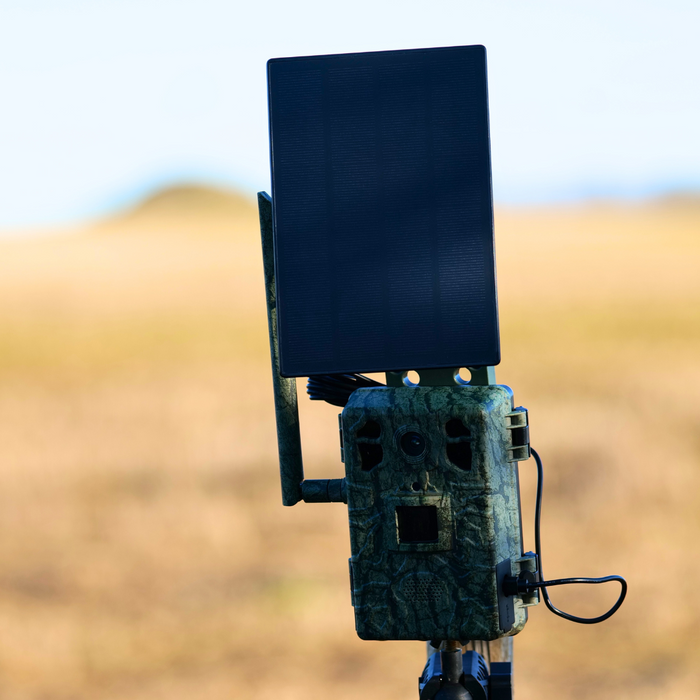 Live - Wildkamera inkl. Solarzelle + App