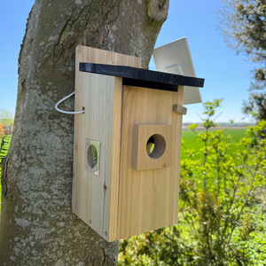 Vogelhaus mit Kamera – HuntElite