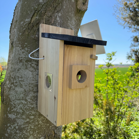 Vogelhaus mit Kamera – HuntElite