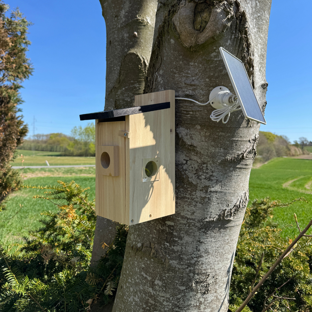 Vogelhaus mit Kamera – HuntElite