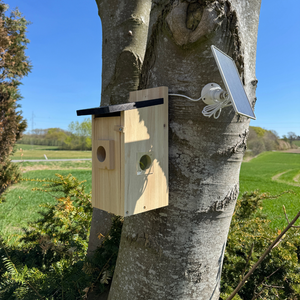 Vogelhaus mit Kamera – HuntElite