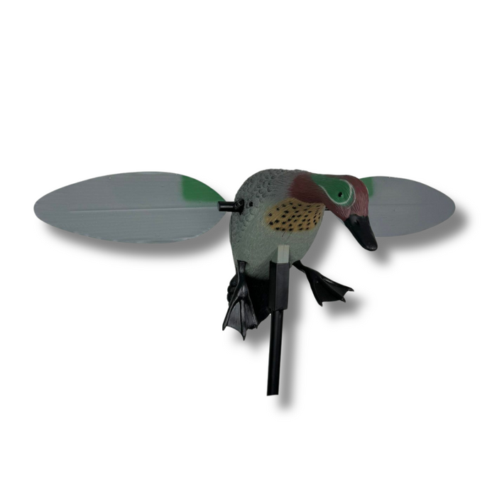 Spinnflügel - Krickente - HuntElite