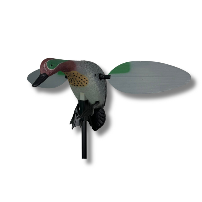 Spinnflügel - Krickente - HuntElite