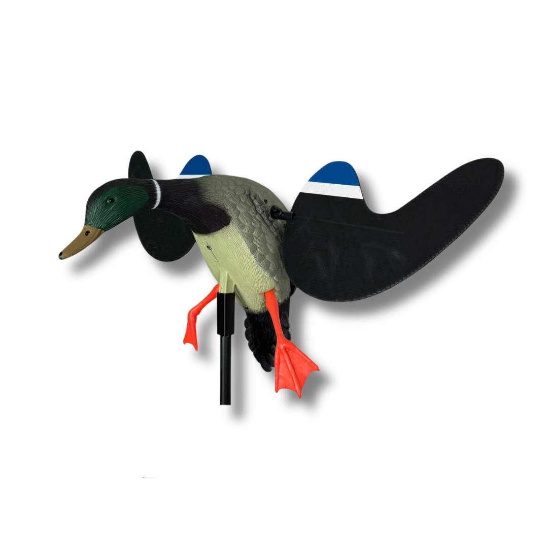 Drehflügel - Stockente Erpel - HuntElite